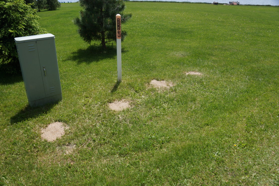 Late last August, the LLAA had a vote at the annual meeting to remove the member's signs that have been around for over half a century. I voted to keep them. I was in the minority.