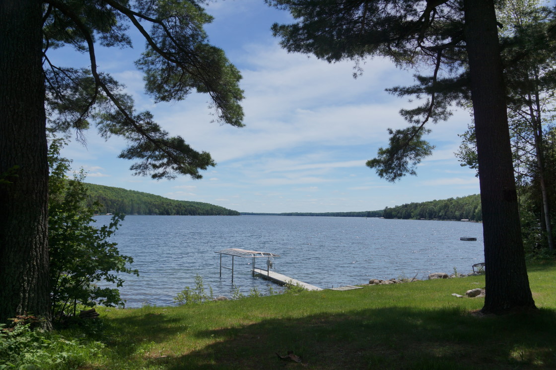 The fish are biting but not at the "jumping into the boat" rate we like. Give it another few warm days. While swimming is better, it still can be best described as shocking. We could use another 5°F or 10°F. Applying 4 gallons of paint, pouring 21 yards of concrete, wind, and rain grounded the drone this week. Better weather and the first ski show of the year will force it back into the blue. All that rain and wind may have prevented pictures of a higher order, but it did give a bit of free time to fix the code for the new and last 20 knottlane webcam recorder pages. We'll try to get the LLAA camera recording pages fixed up before the ski show on Wednesday evening.<br><br><br>-Nemo would rather ski than pour concrete.