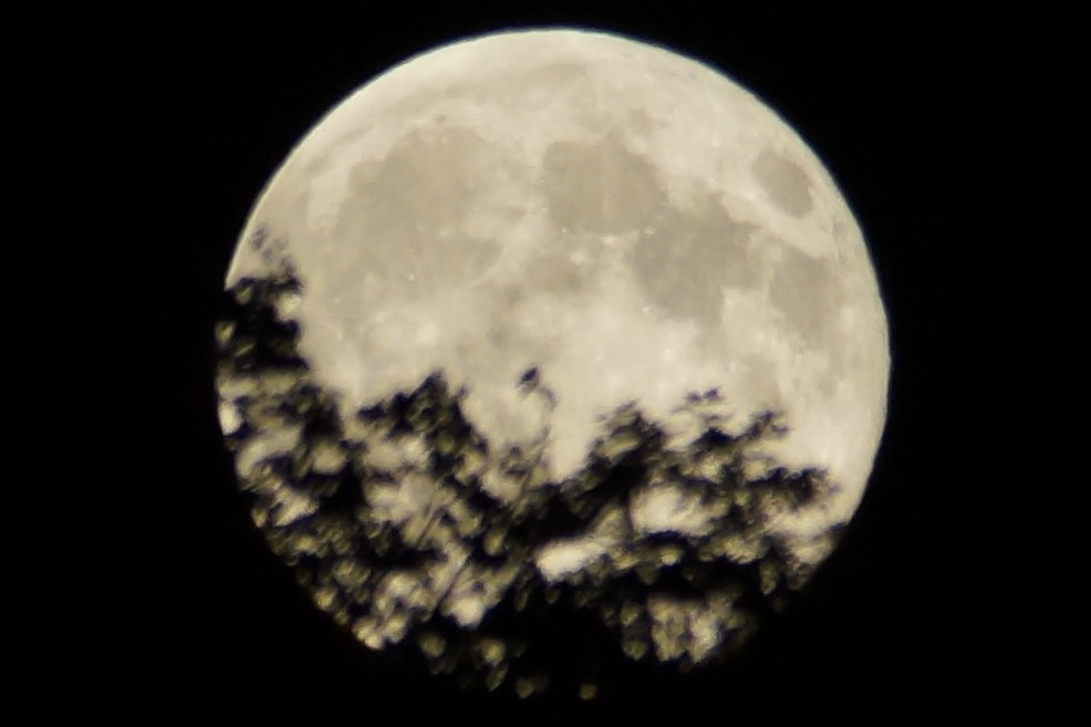By midweek, the air grew warm, the lake flat-ish. and the moon full. The June, July, and August full moons are called Skier's Moons for obvious reasons. Don't forget those navigation lights! We wouldn't what to run afoul with Rangers or Sheriffs.