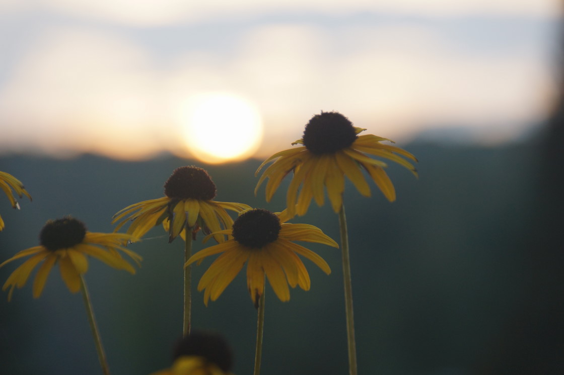 During the sunsets, Fall could be felt a bit