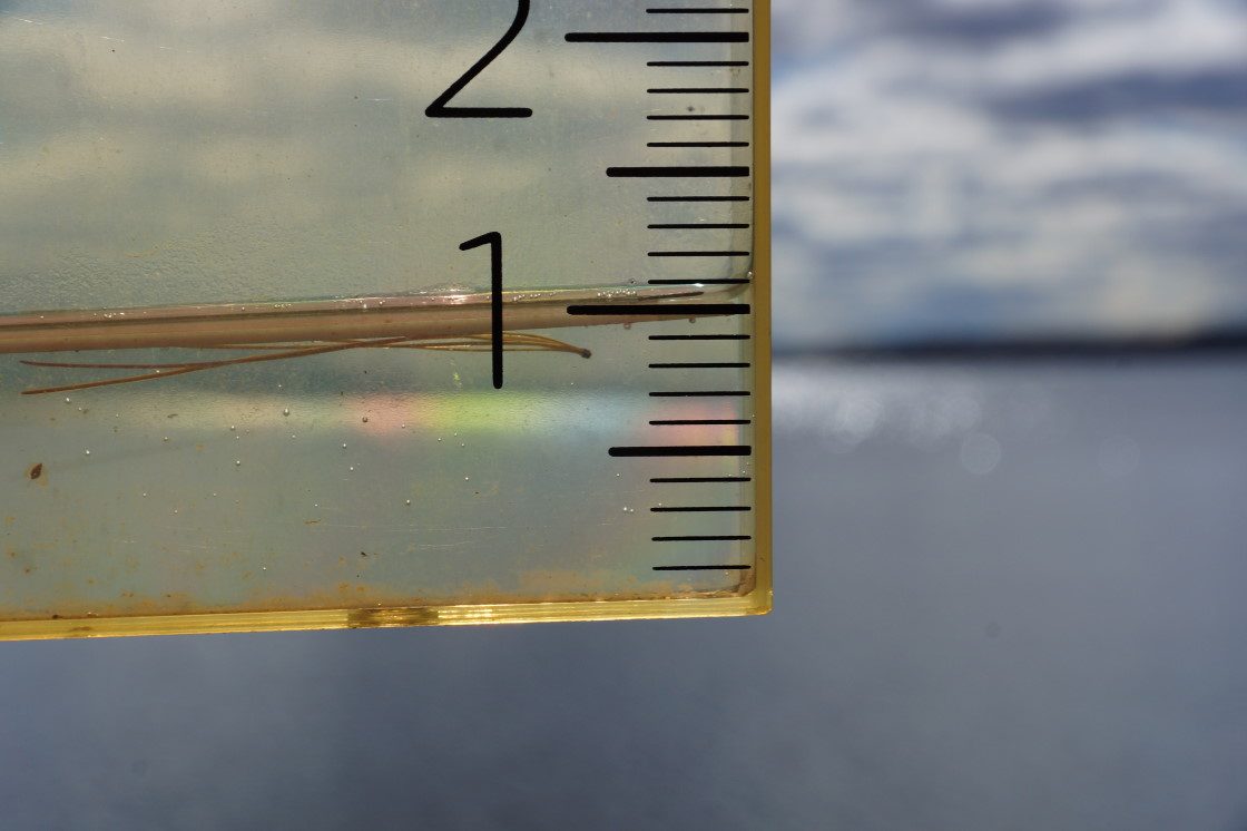 The sun did not come out at all last Thursday. Friday's sun danced on a lake made one inch deeper by all the rain.