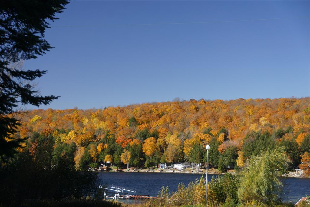 Some of the trees are near peak color, some are leaf-less. Such is the nature of Post Peak Color. 