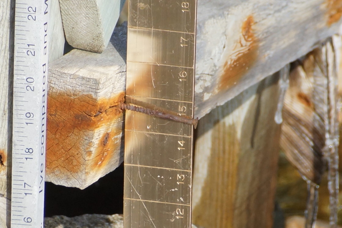 The lake is 14.75 inches below the nail. That's a quarter of an inch above the level at ice-out and almost 5 inches better than before ice-in last year. So, Yay!