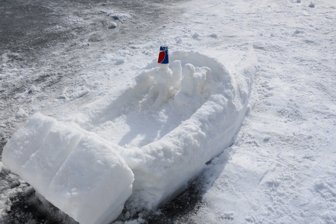 The snow driver and snow observer were a nice touch.