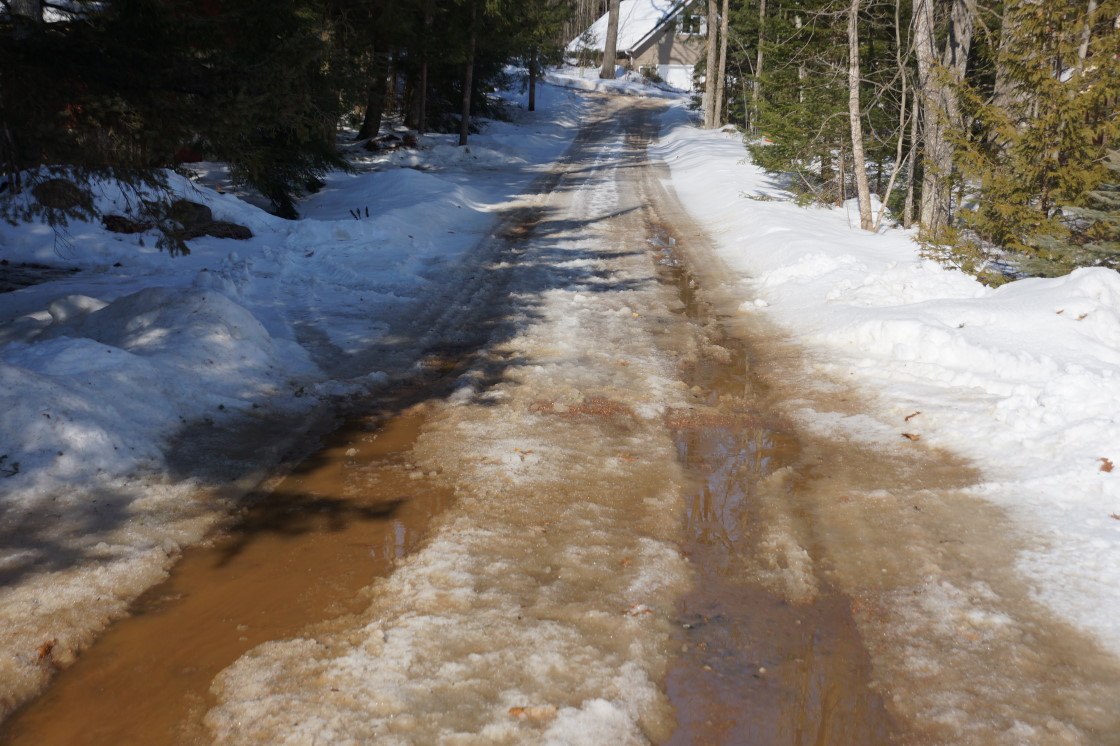 Sometimes the season changing magic can be a messy thing.  Knott Lane's condition is best described as sloppy.