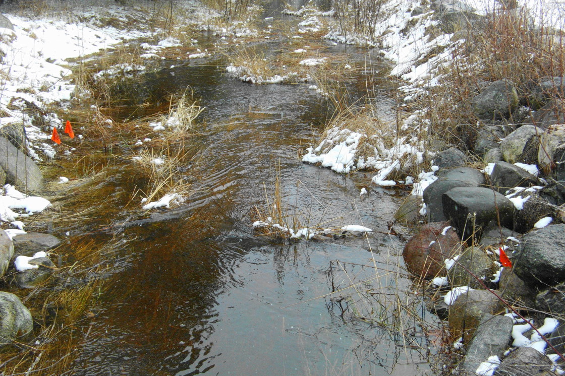 Around midweek it rained and the creeks flowing into the lake turned into torrents.