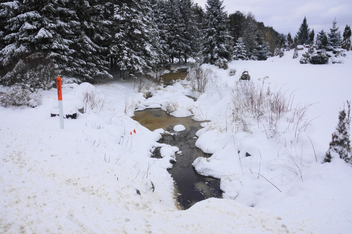 The lake continues to rise! The snow and cold has not stopped the creeks and streams from flowing. We'll get another lake level check in a few days, but it looks like Lake Lucerne is only about 5 inches below the nail. Huzzah!