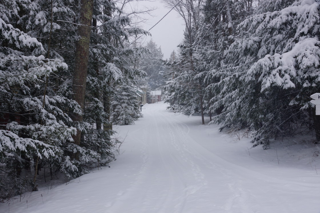 The condition of Knott Lane was pretty much what you would expect after a routing by the Fourth Horseman of the Snowpocalypse.