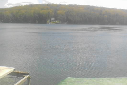 The lake area was cooler last week. In addition to the trillium, dandelions and mayflies there was a trace of snow. The cold and trace of snow turned out to be just what the entomologist ordered to rid the area of the swarms of flying pests. Huzzah!