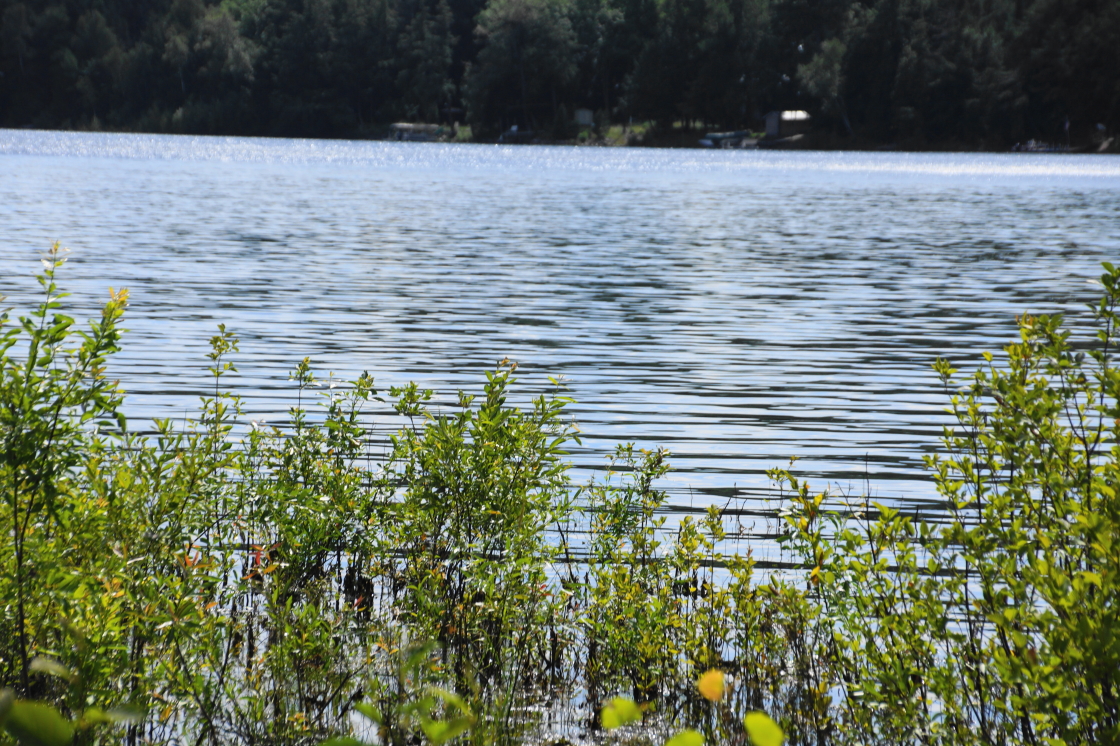 The lake got a little deeper last week, the days got a little shorter, the weather got a little warmer, skiers fell, lawns were mowed, tennis and golf balls were swatted, campfires and Bailey's Comets were lit up. In all, it was a typical Summer week.