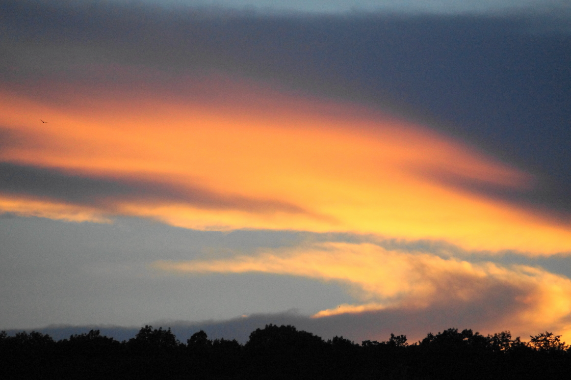 Several of last week's sunsets were also Summery. The bit of cool in the air was attributed to poor circulation by those of us in "Fall is comming" denial.