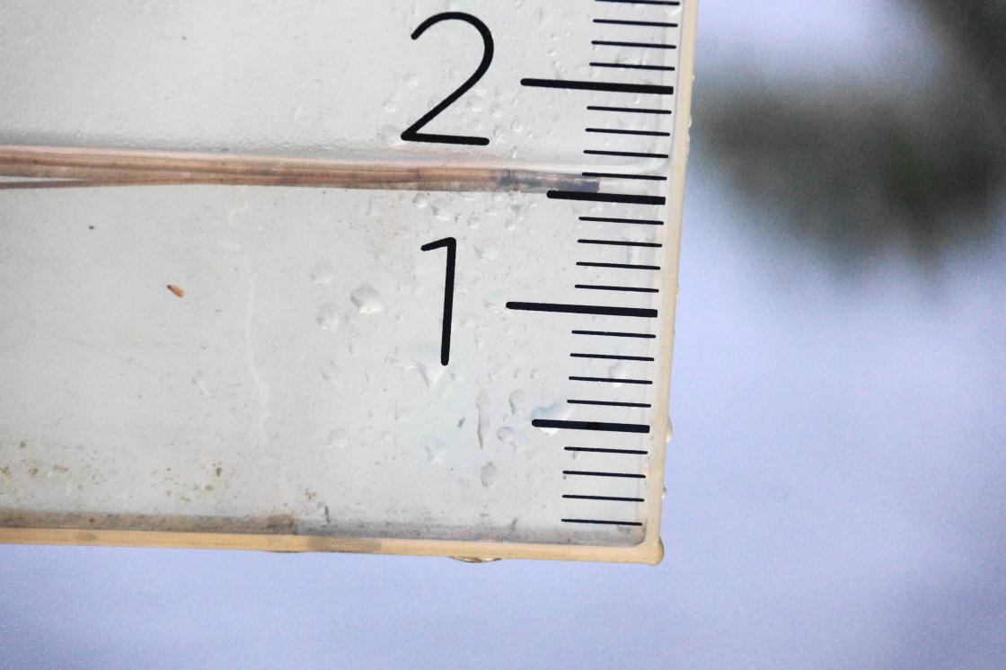 Over 1.5 inches of rain fattened up the lake for Fall. The ground is very saturated, so the watershed pushed the lake level up more than is usual. Would it be enough to move the lake level over the nail?