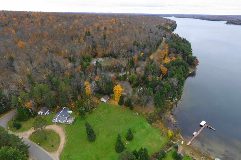 The pines are holding on to their greens nicely. The other trees, not so much.