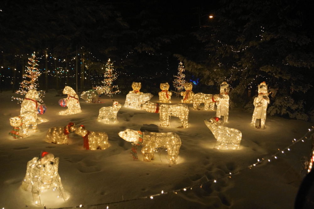 This may be the last year for this display, so see 'em while you can..