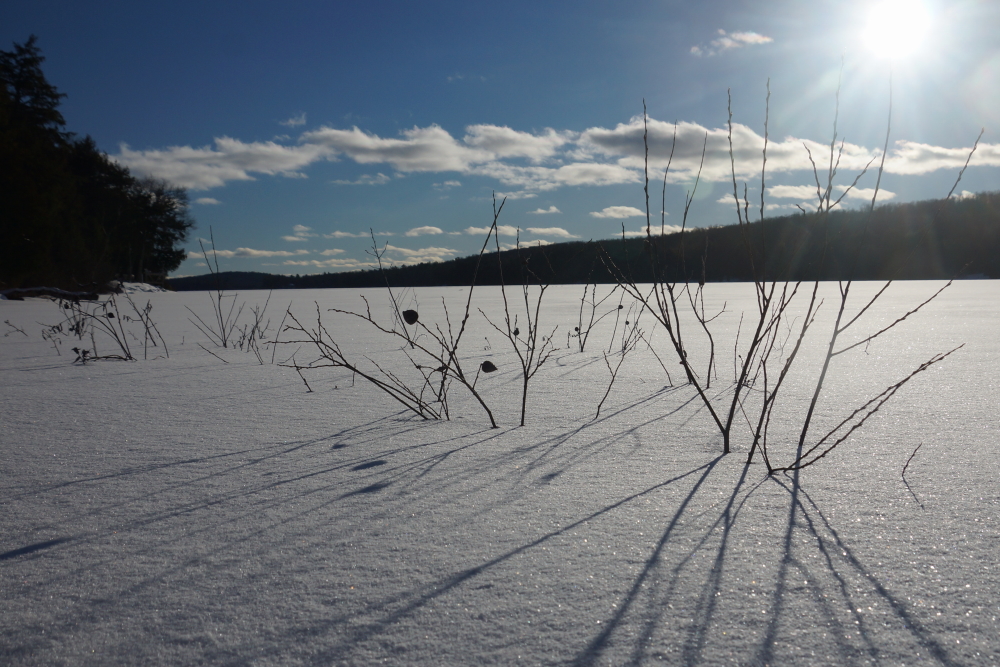 Last week, the lake had its fair share of sub-zero mornings. There was  also some snow and a few blue sky evenings. The sun is up longer, but there still isn't that "This will soon be ending" vibe that is at the core of Thaw (Thaw: The third sub-season of Winter, see the archive sections for more.)