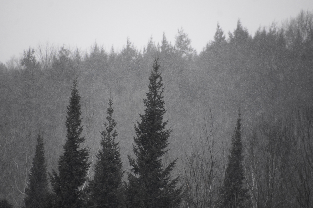 The snow last week wasn't heavy or plentiful, but it did require removing.