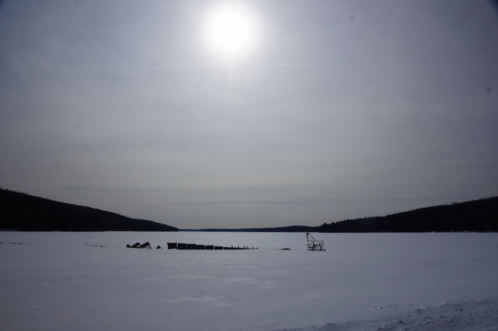 Last week started off cloudy, icy, and cool.  But mostly icy. Freezing rain events and thaws combined with colder nights to put an ice shell on our world.