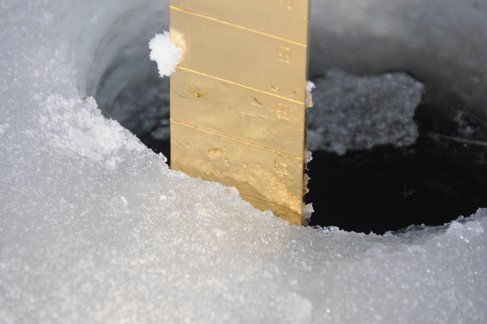 Under those forts, the ice is about 16.5 inches thick. I don't think we'll make a yard of ice this year.