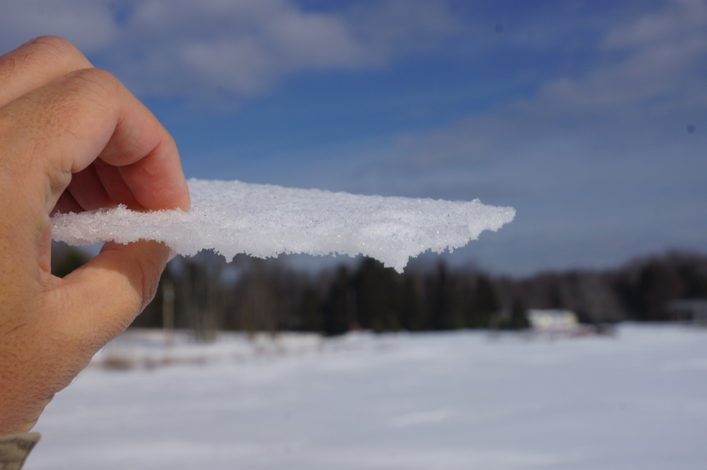 The frozen, sintered layer on the lake is about an eighth of an inch thick. You break through with every step. The worst is having a boot catch the edge on the next step and having the choice of either falling or doing the massively uncoordinated and embarrassing dance-of-shame to stay upright.