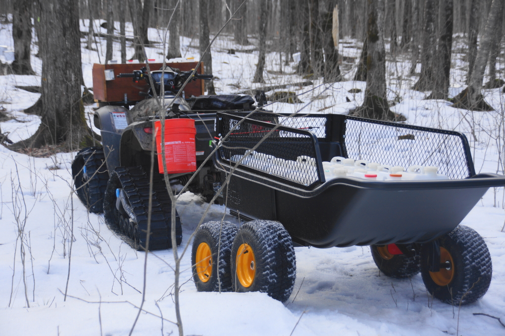 With predictions of the return of Deep Winter, it was a race to get the sap out of the woods before it froze.
