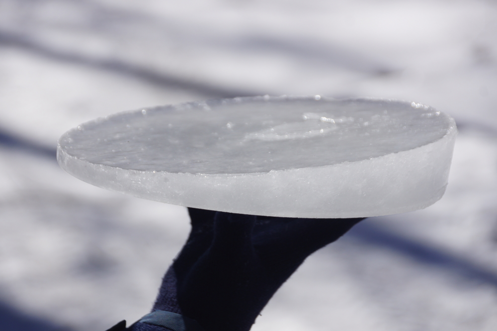 Many of the buckets were full of sap. Some only had this much. All of it was hard.
