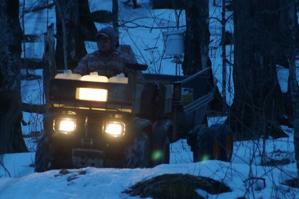 Before the taps froze, there was a race to get the the sap out of the woods before it turned to rock.