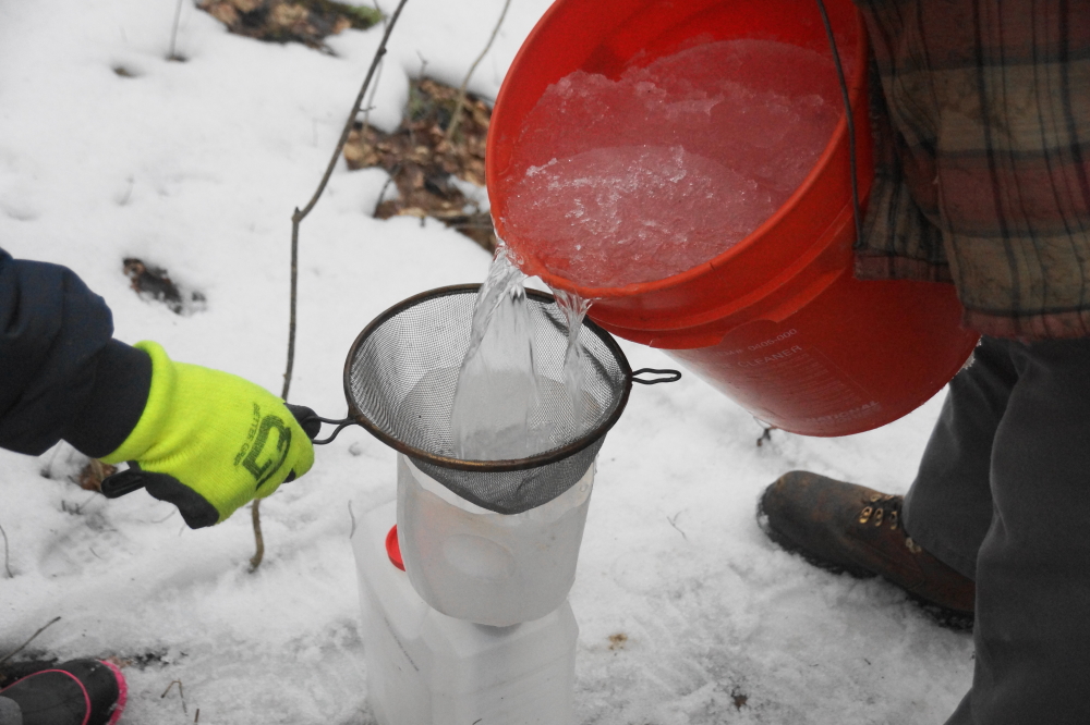 It still got pretty cold at night. This resulted in some liquid sap and some hard sap.