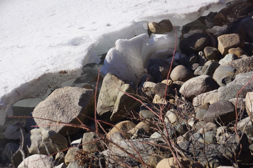 Thick lake ice and higher lake levels (Huzzah!) combined last week to scour rocks on the shore.  A few boat lift legs were imperiled and some docks also suffered woe. It was unclear whether the locked ice somehow moved or it just expanded up the shore.