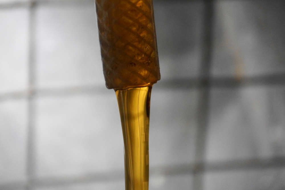 This year, the volume of the runs has been a bit of a disappointment. We only got about 60% of the sap we had expected. While the quantity of the syrup was lower, the quality has been some of the best. Grade AAA light amber is suitable for the finest candies or the fanciest of pancakes.