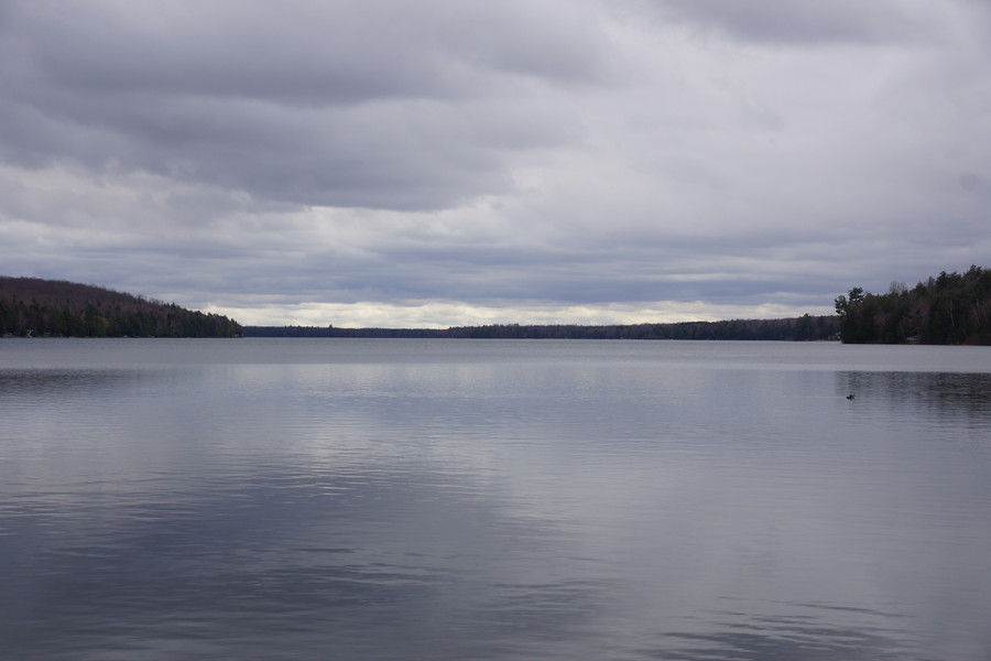 Last week began with rain, which is just a gray way of saying the lake level is going up. Despite a general flatness on Lake Lucerne, nobody skied between those drops. 