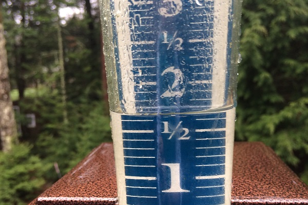 It rained! And not just a few tenth-of-an-inch type events. With more forecast to come, the lake is on course to rise to heights not seen since the early 00's