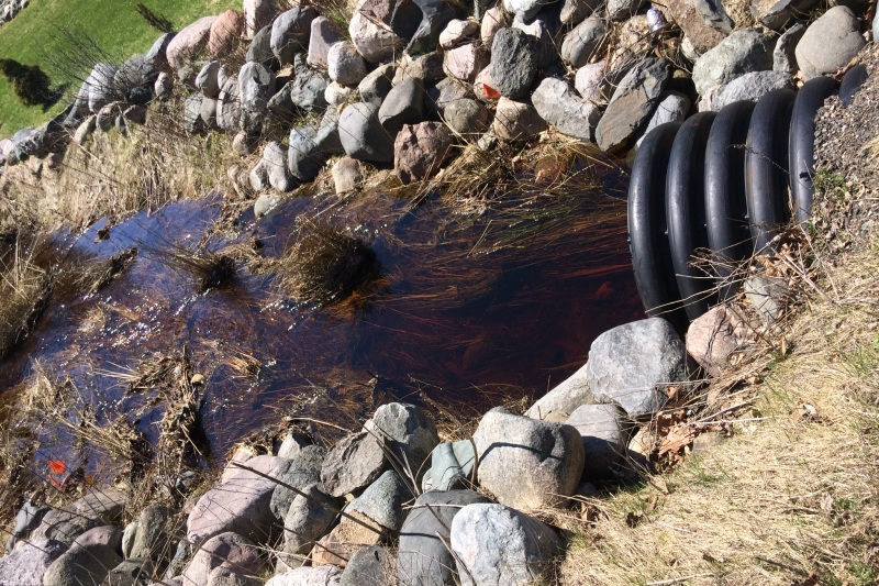 It goes without sayin' that creeks and streams flowing into the lake continue to be full.