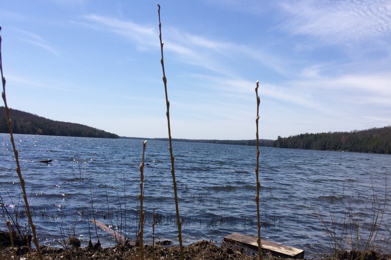 Last week started off like Spring. There was sun, temperatures above freezing, ice free roads, a few more piers were put in and there were even reports of a few less-than-sane people skiing.