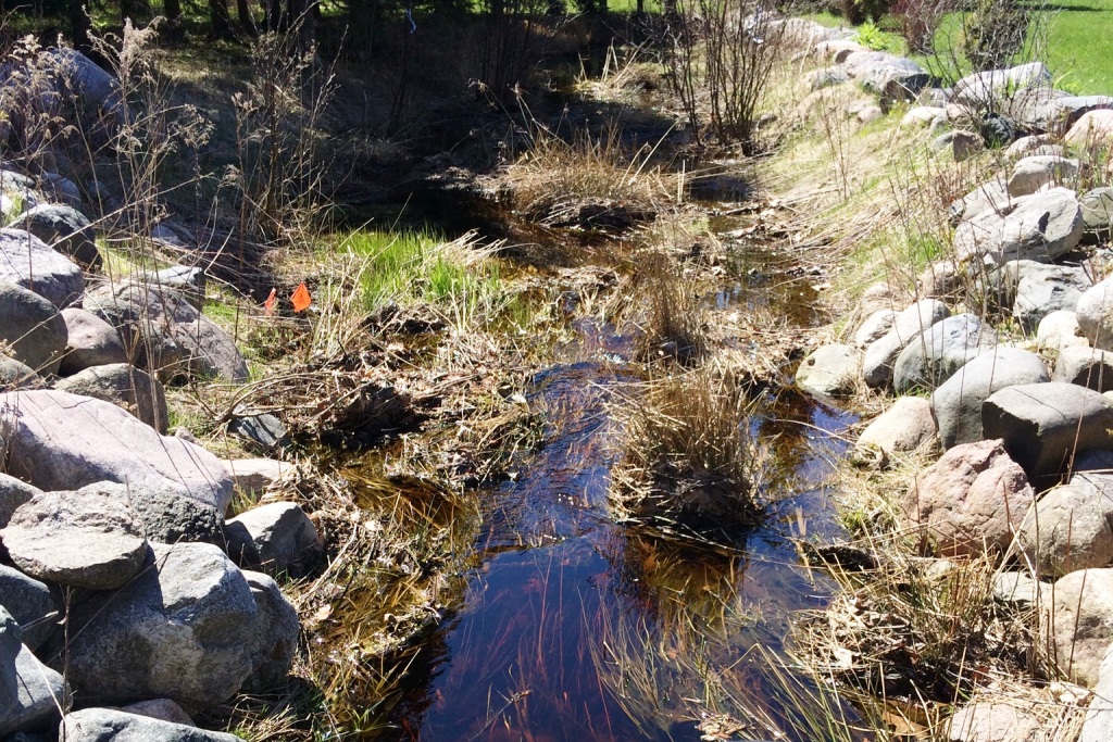 Creeks and streams continue to flow at full force. We'll give a report on the outflow, if any, from Swamp Creek soon.