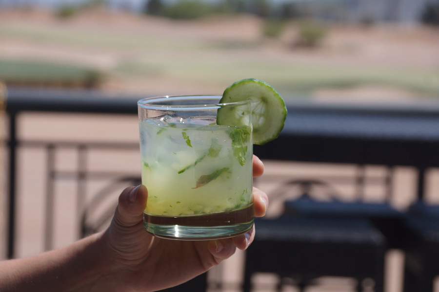 The knottlane board has been busy. We've made several breakthroughs with ice and experimental garnishes that will be unveiled during the upcoming Memorial Day bar nights.