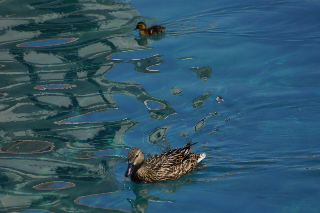Lake Lucerne