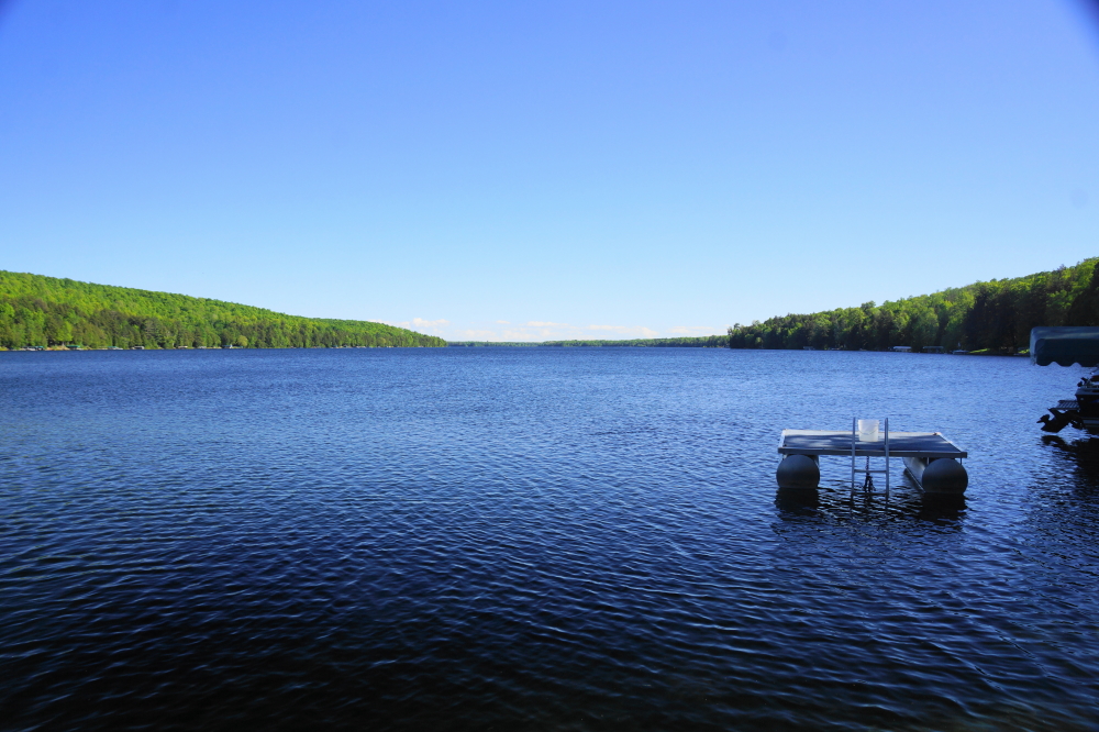 It was hot last week. The wet, sticky 80s°F cooked the lake and surrounding forest. There were also sunburns.