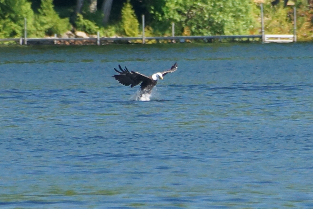 Lake Lucerne