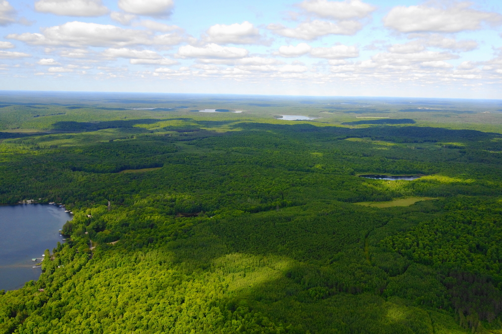 Lakes Wabikon, Riley, and Wyman are still there, too.