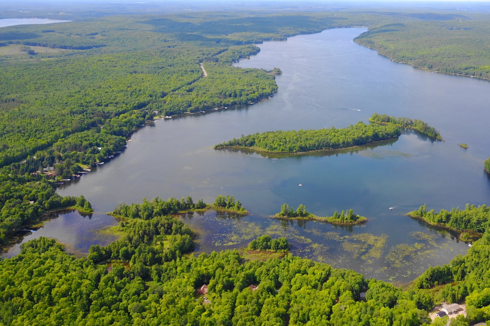 The rising water has filled the back bays on the South end of the lake to levels not seen since the 1970's. Huzzah!
