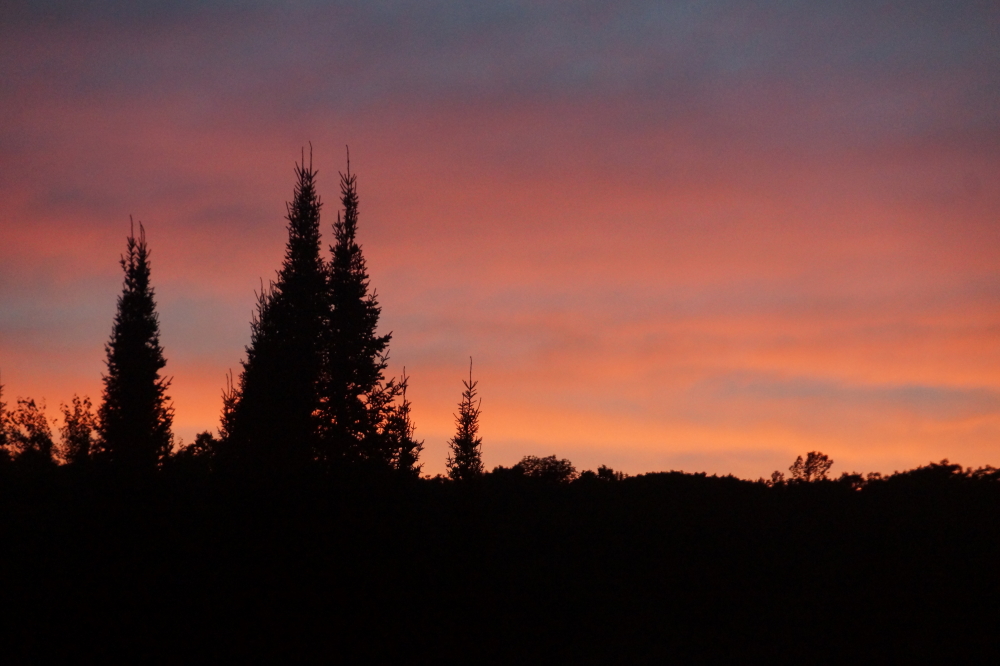 Sunsets last week were just the cherries on top.