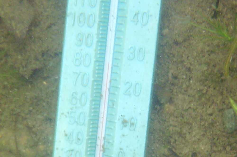 The water temperature is as warm as it gets. Extremely clear, too (this image was captured under about 8 feet of lake).
