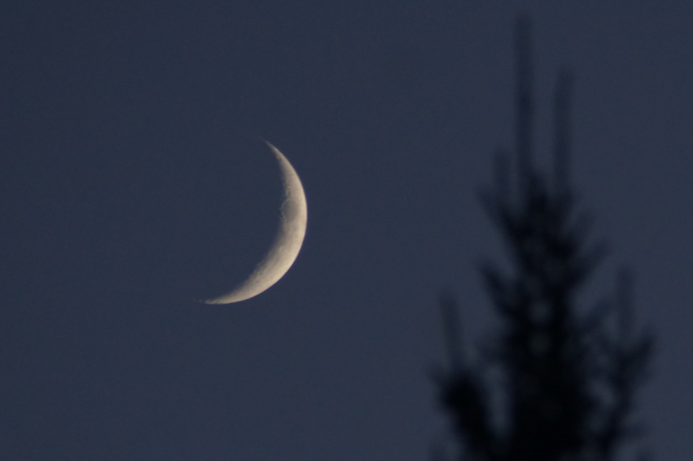 Puffy clouds and passing storms cleared out at night leaving behind a star dominated sky with just a hint of a moon.