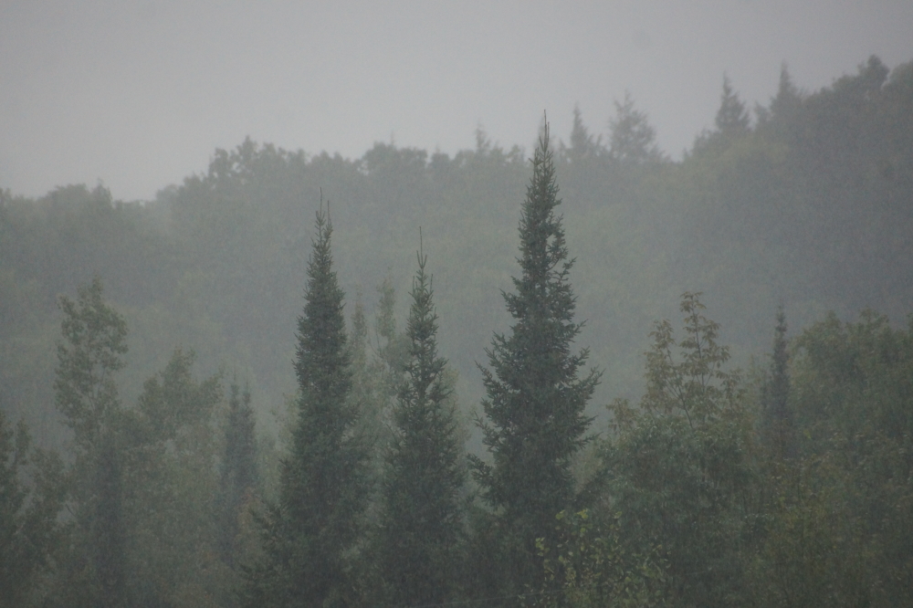 Last Wednesday was parsed by a short, heavy rain storm that dropped a quarter of an inch on the area in about 10 minutes.