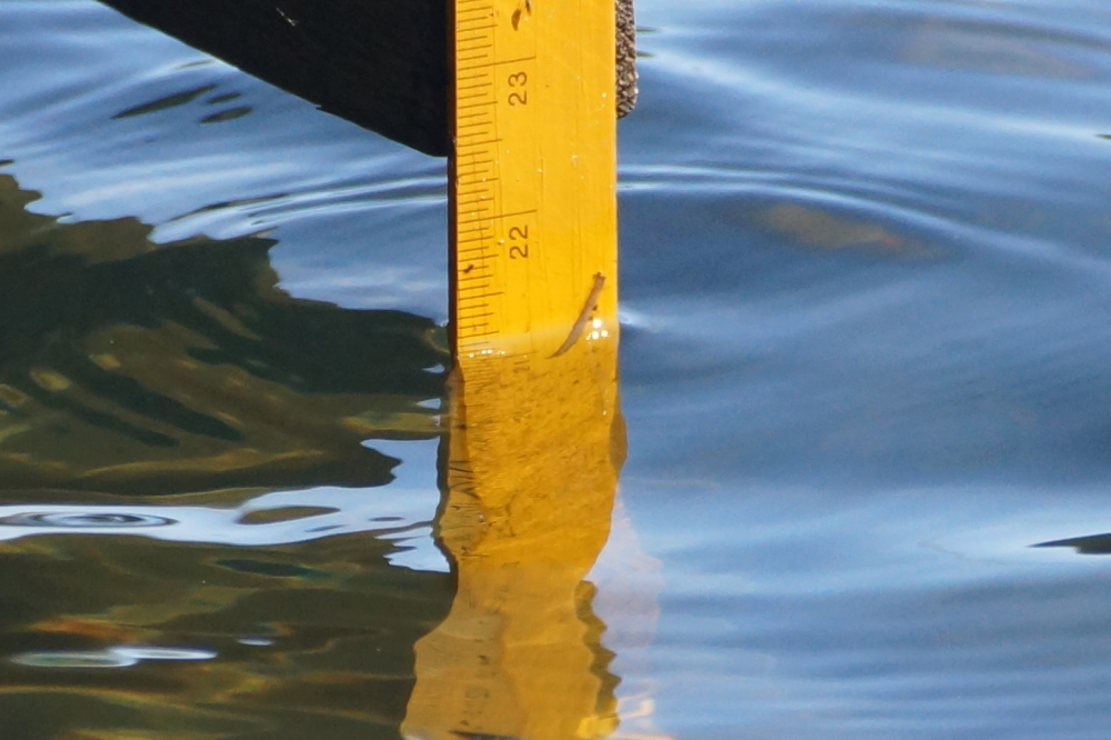 At the start of September the lake level is at 21 inches above the nail and rising. 