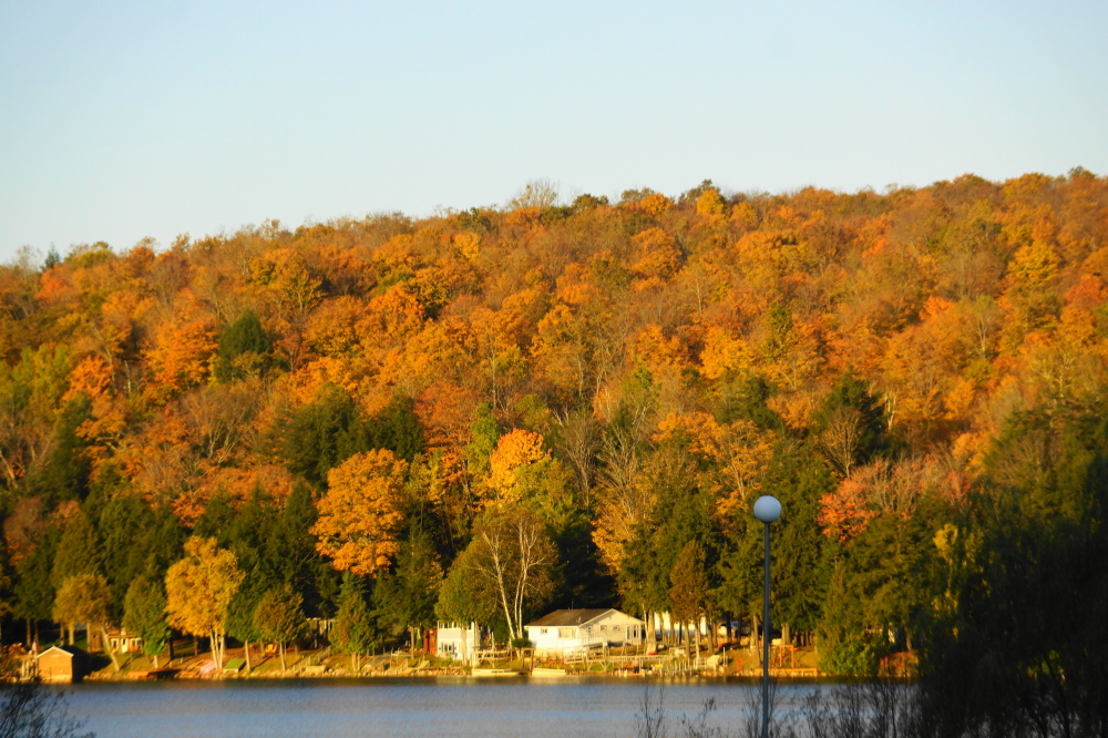 The trees around Lake Lucerne are either in full color or leafless.