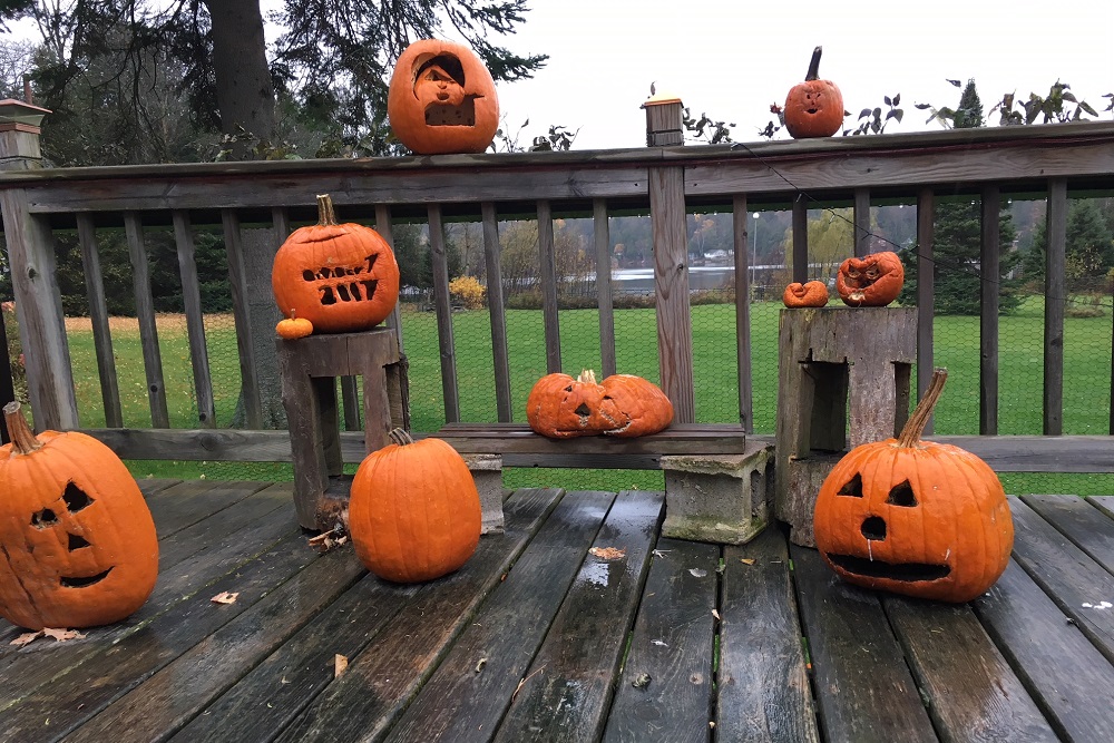 The Pumpkins carved 2 weeks ago are not so fresh anymore. Coming rains, frosts, and freezes will only further their unfreshening.