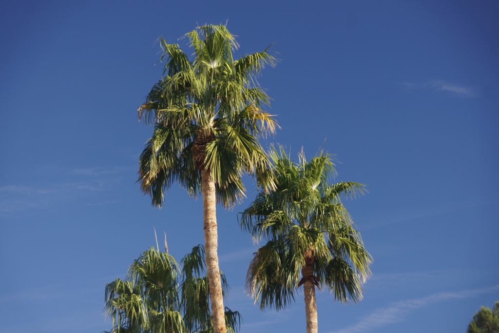 Lake Lucerne