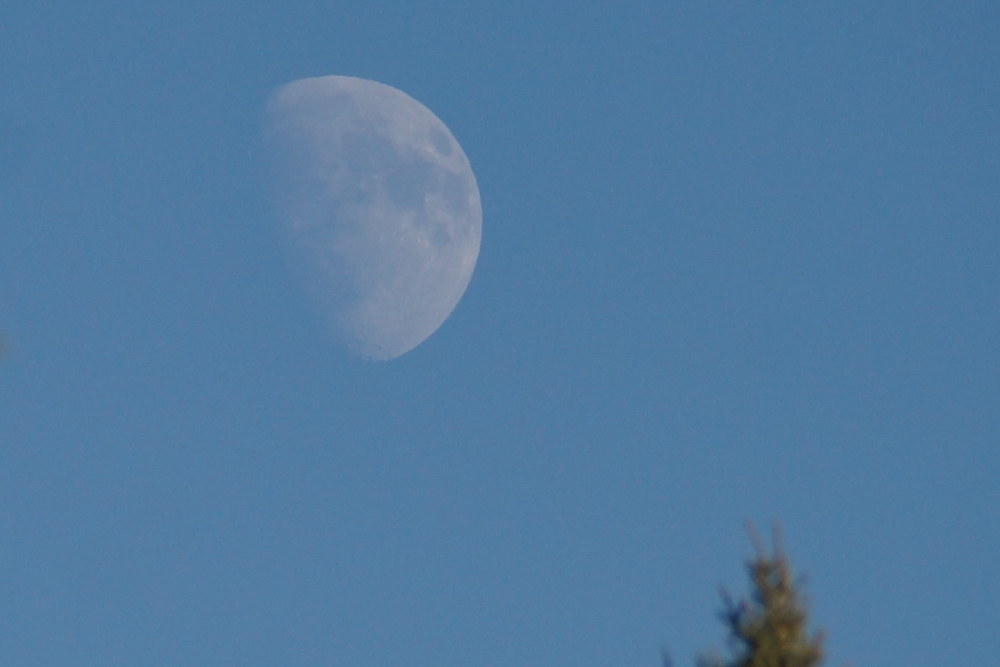 Nights were well lit by a waxing monkey moon (we know, it's "gibbous" not "gibbonous", but it's phonetically close enough to justify the alliterative term. That, and it makes us laugh. Monkey moon, heh.)