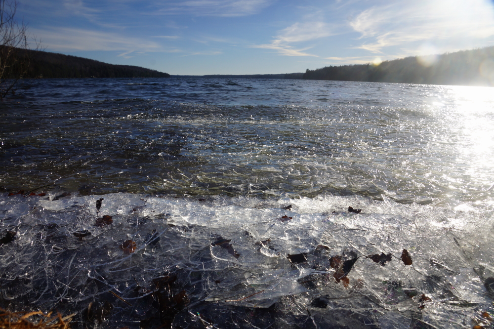 Midweek the sun came out and the wind came in hard from the South. The air temperature pushed into the 40s°F, albeit the low 40s. The ice suffered and was mostly gone by sunset. Ice-in would not happen on Lake Lucerne this November.